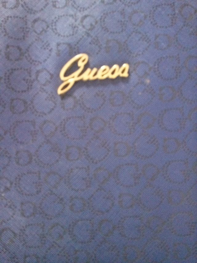 Bolso guess