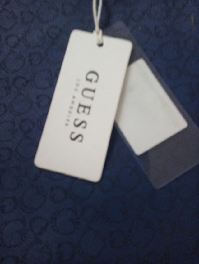 Bolso guess
