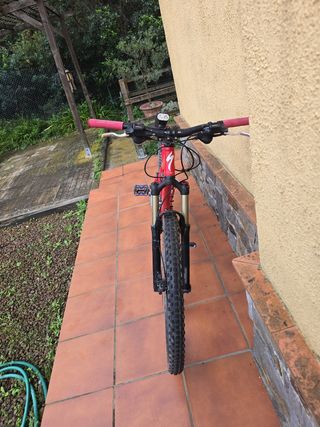 Vicleta 