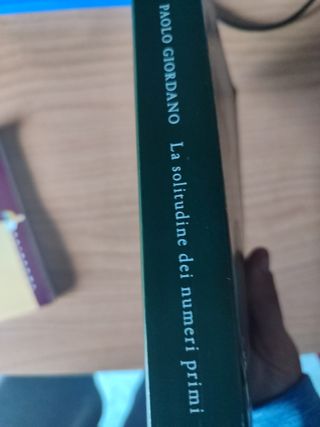 La solitudine dei numeri primi