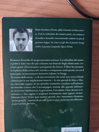 La solitudine dei numeri primi