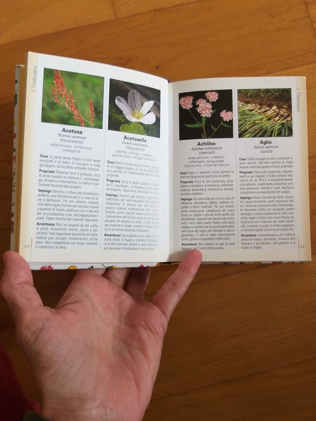 Tutto Rimedi Naturali. Per Prevenire, Curare E Mantenersi In Forma