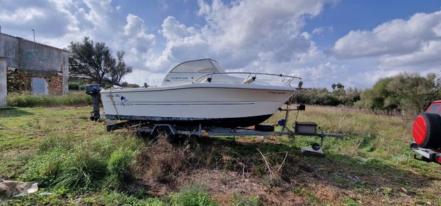 Cambio sessa marine ocean 550