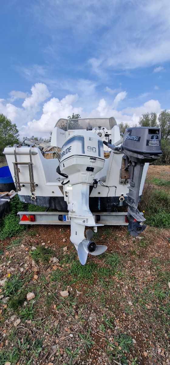 Cambio sessa marine ocean 550