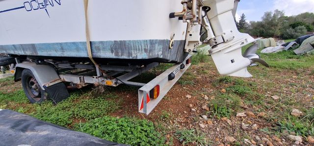 Cambio sessa marine ocean 550