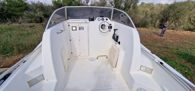 Cambio sessa marine ocean 550