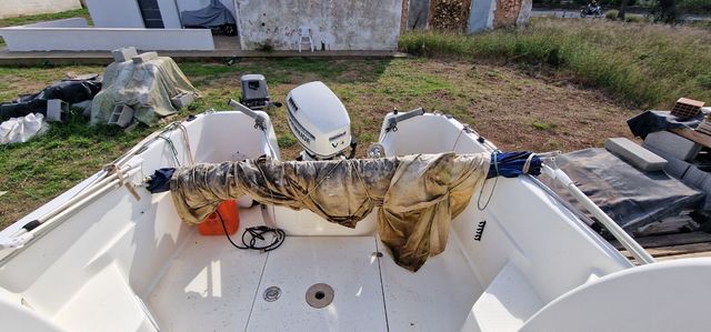 Cambio sessa marine ocean 550