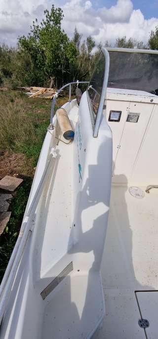 Cambio sessa marine ocean 550