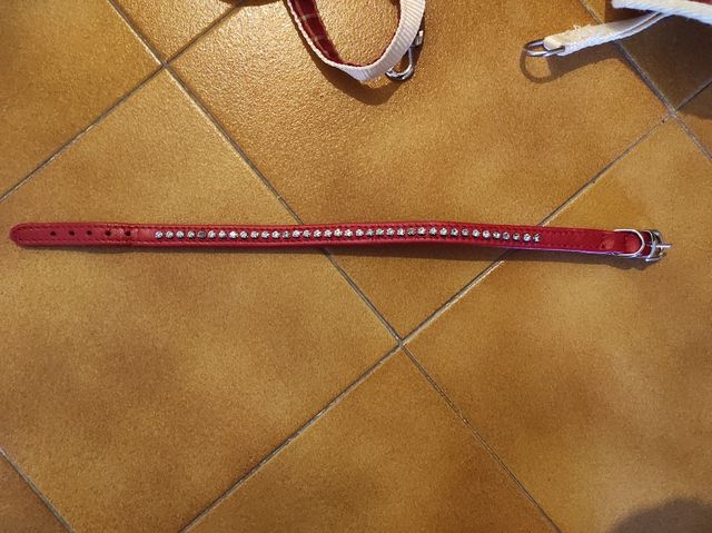 Collare animali piccola taglia 34 cm