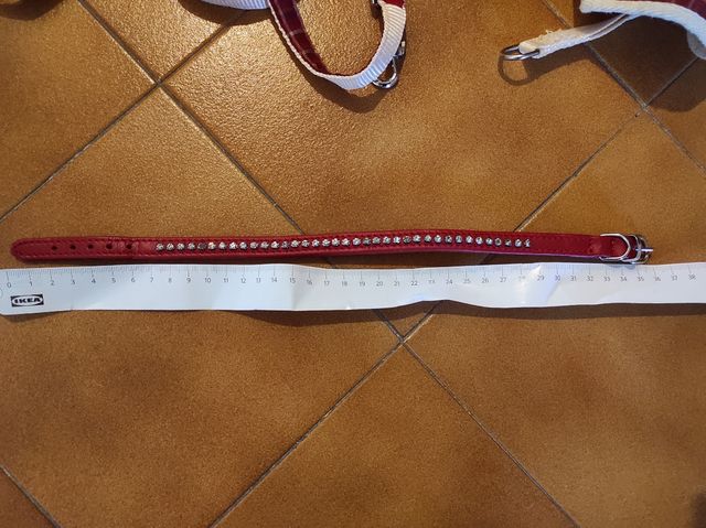 Collare animali piccola taglia 34 cm