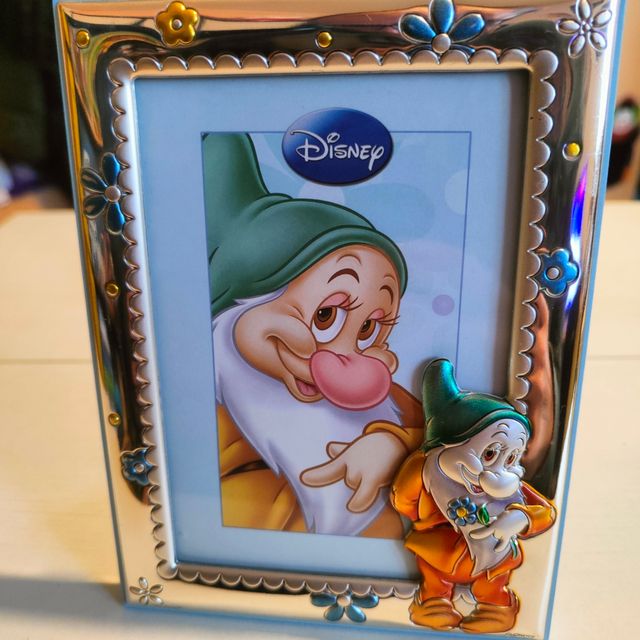 Cornice Argento portafoto Disney Eolo sette nani