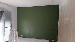 Pintor profesional