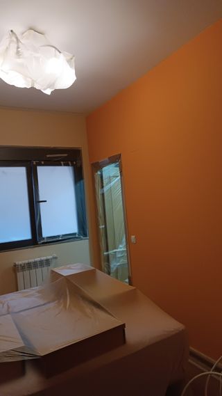 Pintor profesional