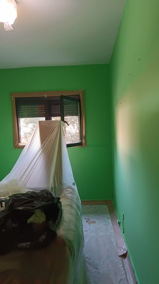 Pintor profesional