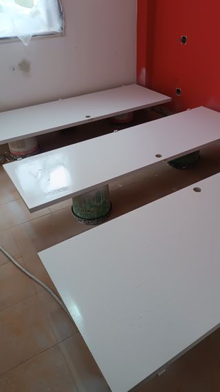 Pintor profesional