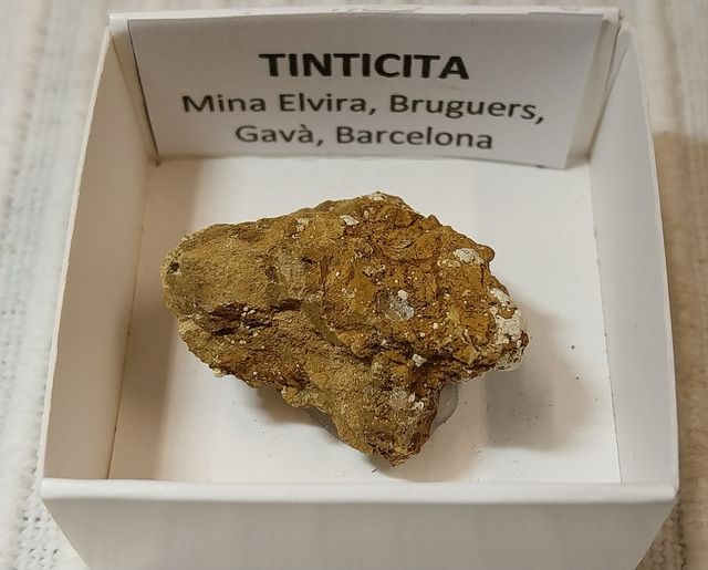 Lotto di 12 minerali in scatole da 4 x 4