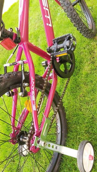 Bicicleta WST Elegant 20"