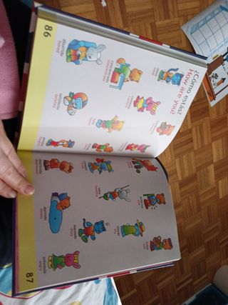 MIS PRIMERAS 1000 PALABRAS EN INGLÉS (Spanish Edition)