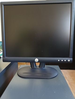MONITOR DELL 19''