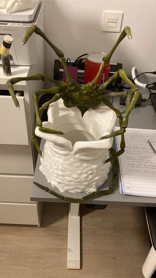 Alien Facehugger  cosplay