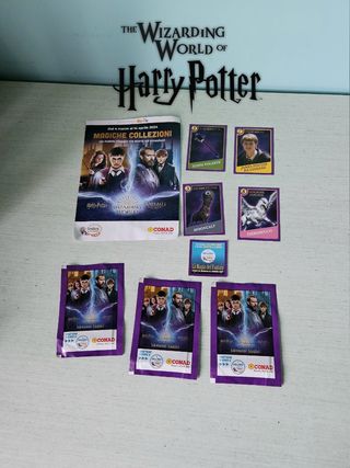 Harry Potter e Animali Fantastici lotto