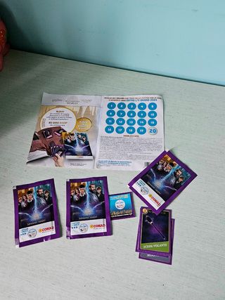 Harry Potter e Animali Fantastici lotto