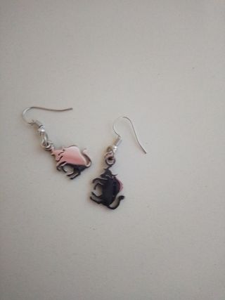 Tauro brillante dos caras