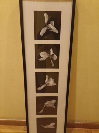 Cuadro flores 1.12x33 Ikea