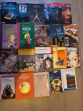 Libros clasicos y del colegio