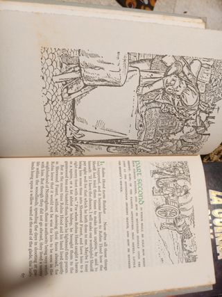 Robin Hood (ed. coleccionistas) Ingles USA