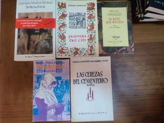 Libros literatura clásica española.