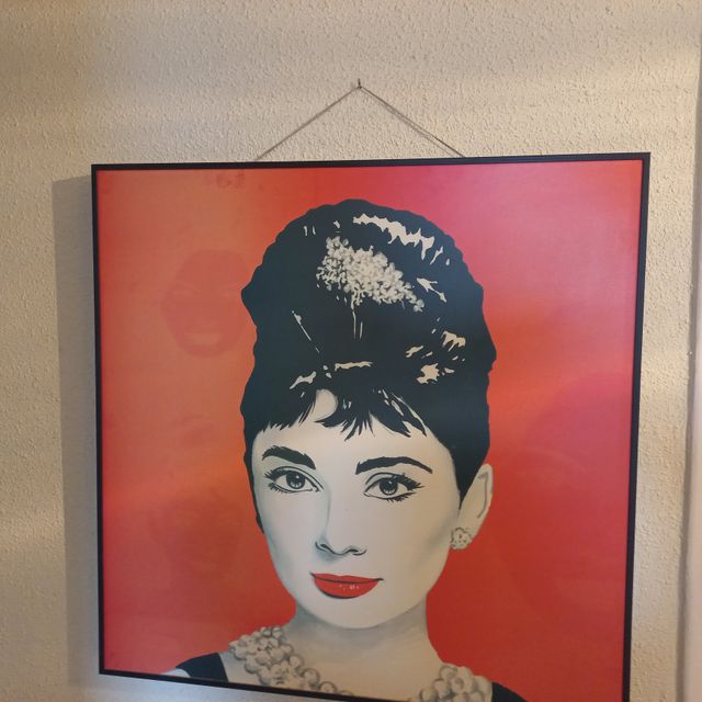 CUADRO AUDREY HEPBURN