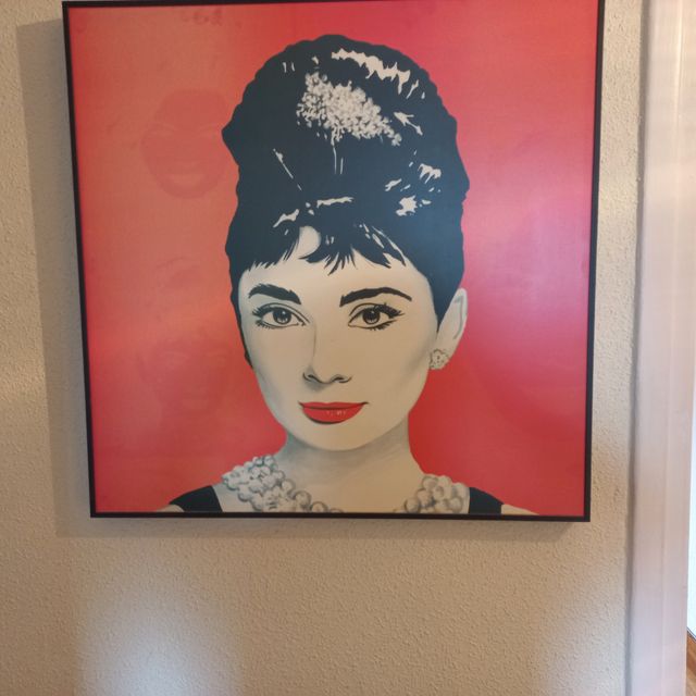 CUADRO AUDREY HEPBURN