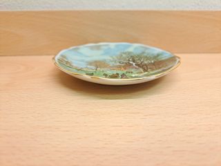 Coppia piattini decorativi di porcellana Limoges