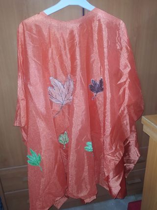 Disfraz de carnaval otoño infantil 