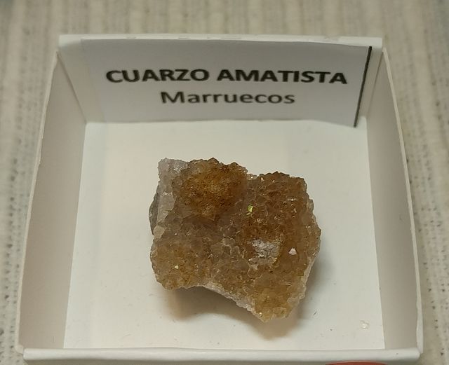 Lotto di 12 minerali in scatole da 4 x 4