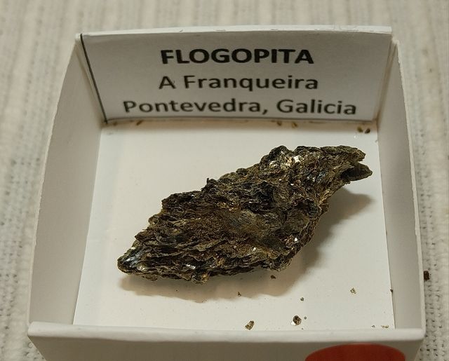 Lotto di 12 minerali in scatole da 4 x 4