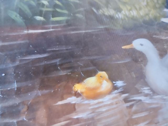 Olio su tavola 40x30 cm vedi foto