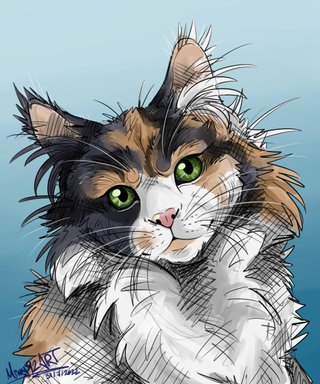 Ilustraciones (en digital)
