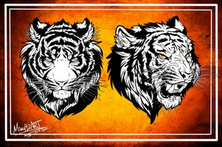 Ilustraciones (en digital)