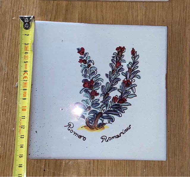 Azulejo antiguo plantas medicinales