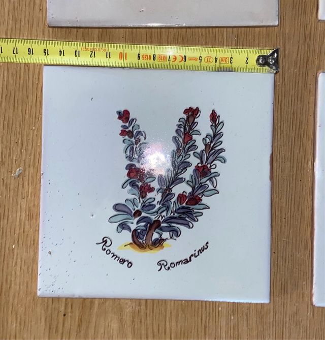 Azulejo antiguo plantas medicinales