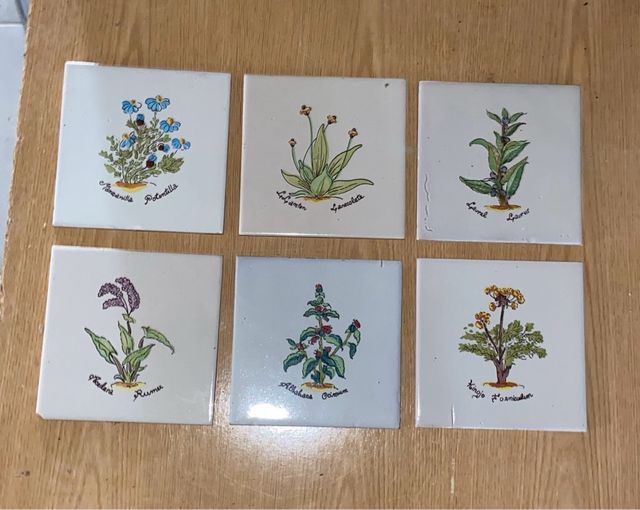 Azulejo antiguo plantas medicinales