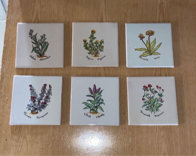 Azulejo antiguo plantas medicinales