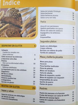 Recetas Sabrosas Sin Gluten-Cocina Sana-Saludable