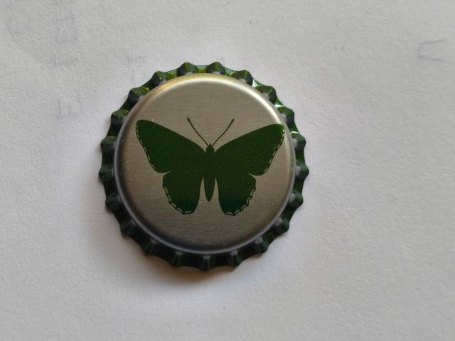 Chapa de agua de Veri