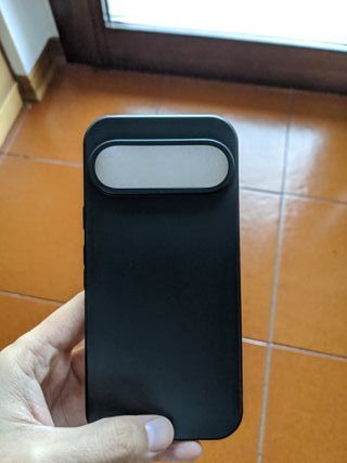 Custodia e vetro privacy pixel 9 pro