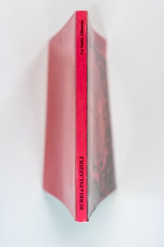 Burri & Palazzoli 2001 - La Santa Alleanza