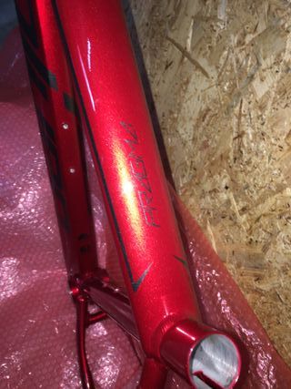 Quadro COLUER PRAGMA 298 vermelho