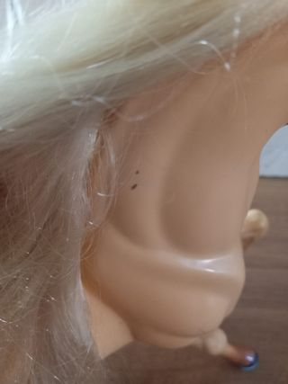 Cavallo di Barbie